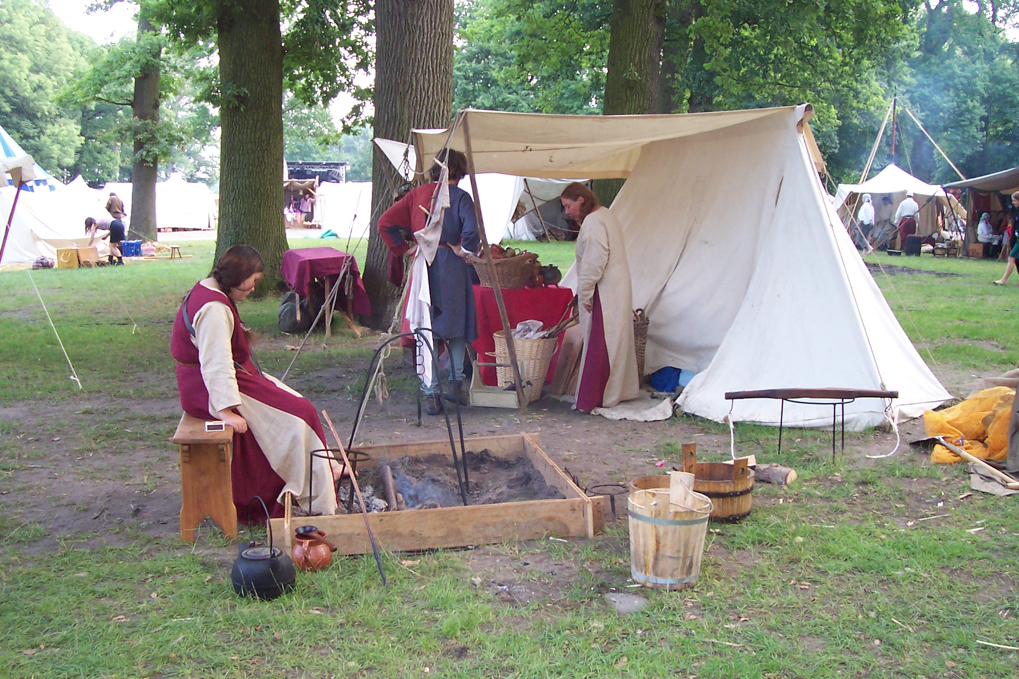 Cees Heijdel - fotoboek/56_De Zwarte Zwaan.JPG